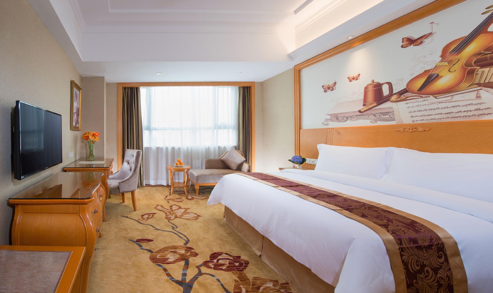 Vienna International Hotel (Shenzhen Buji Dafen Metro Station) 21/41