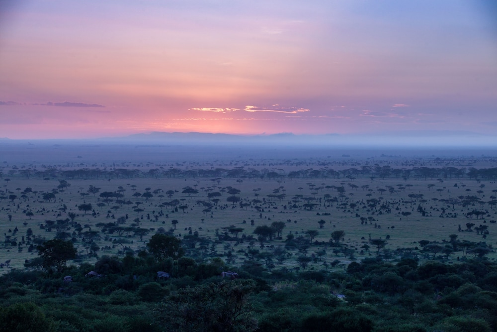 Serengeti Pioneer Camp 11/29