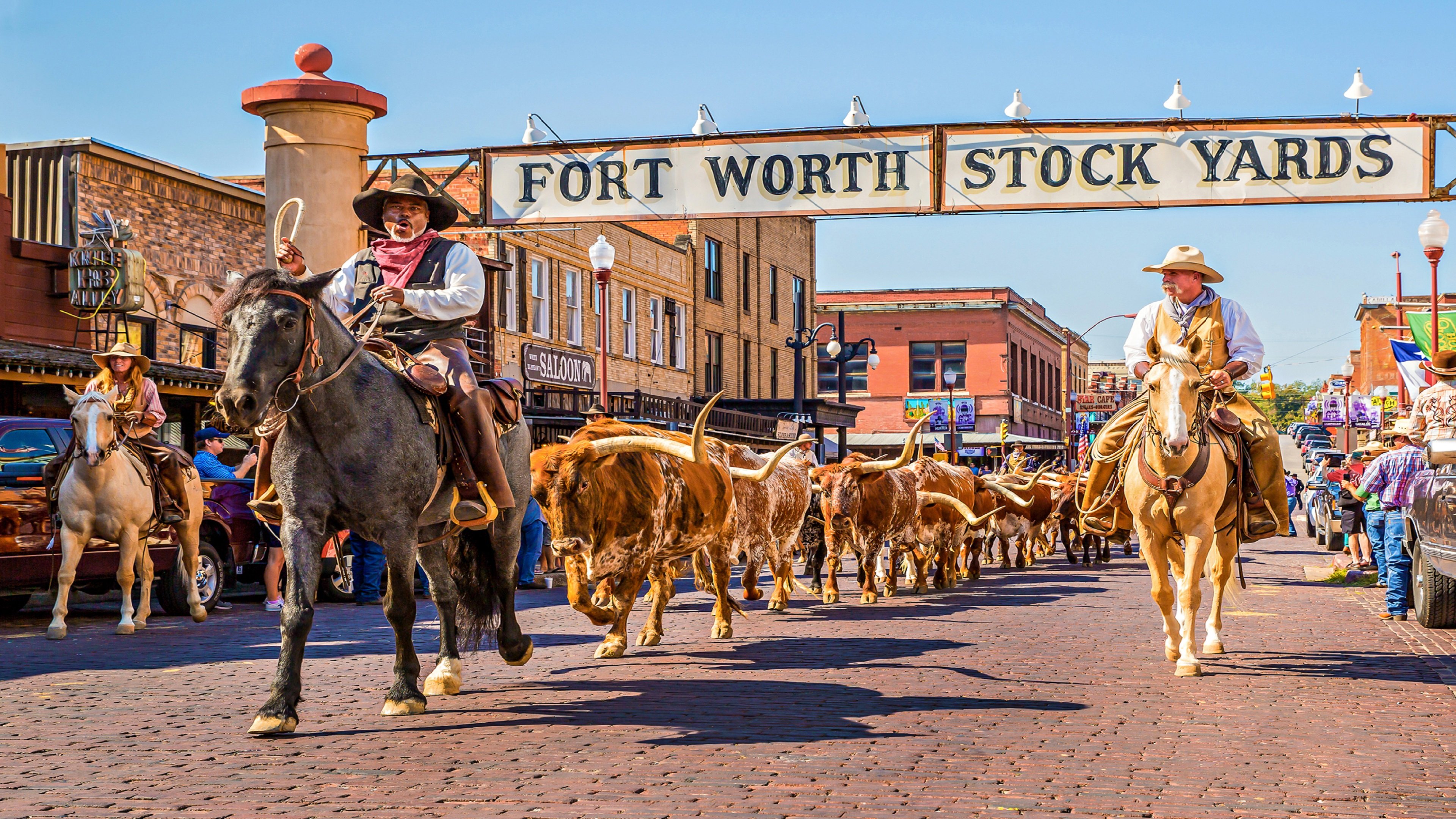 Staybridge Suites FORT WORTH - FOSSIL CREEK 56/66