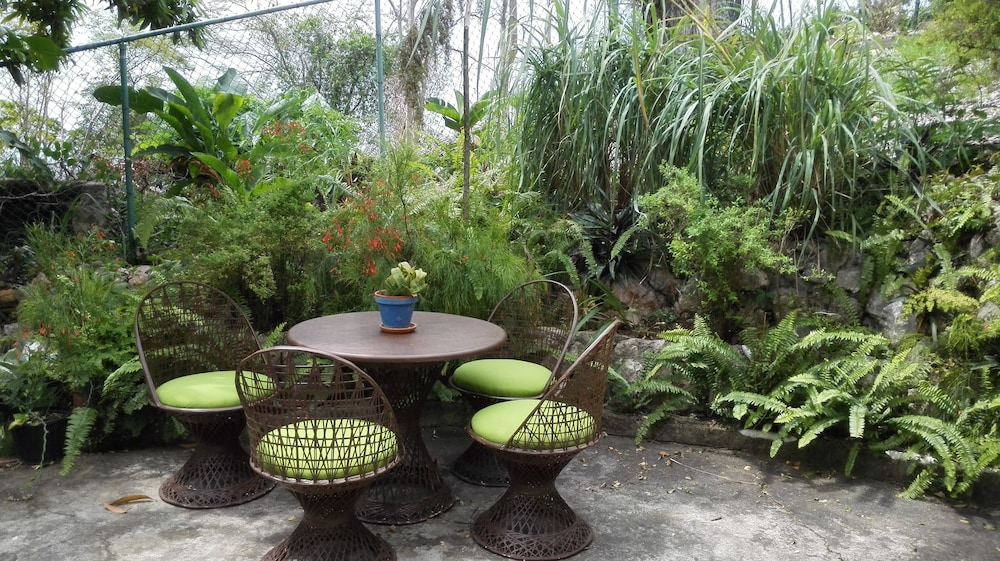 Neitas Nest Jamaican Bed And Breakfast 16/22
