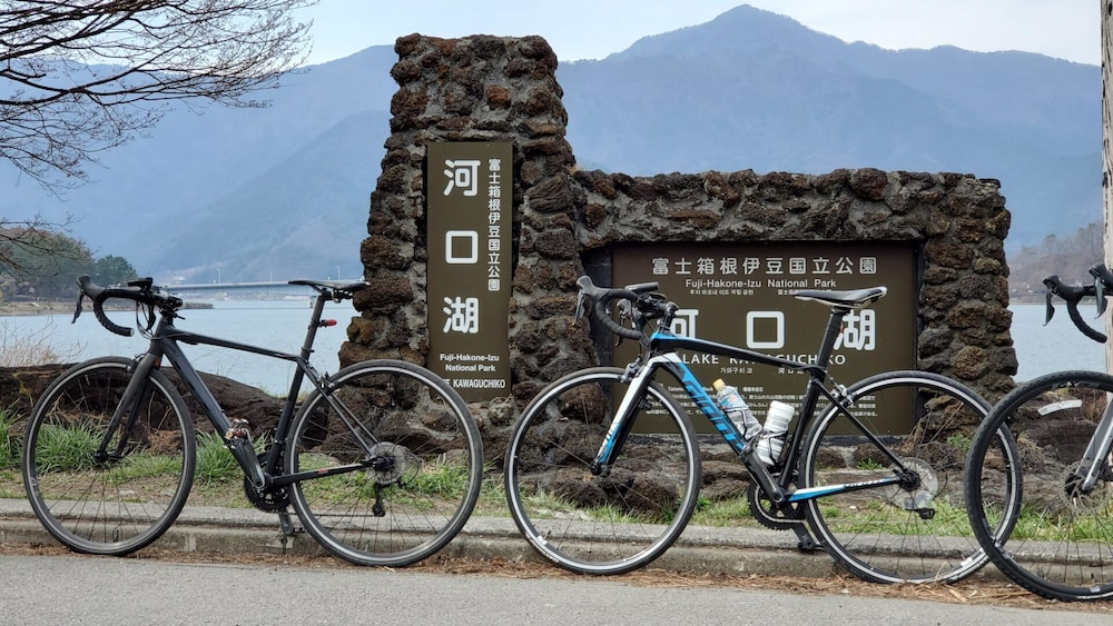 KAWAGUCHIKO PARK HOTEL 32/50