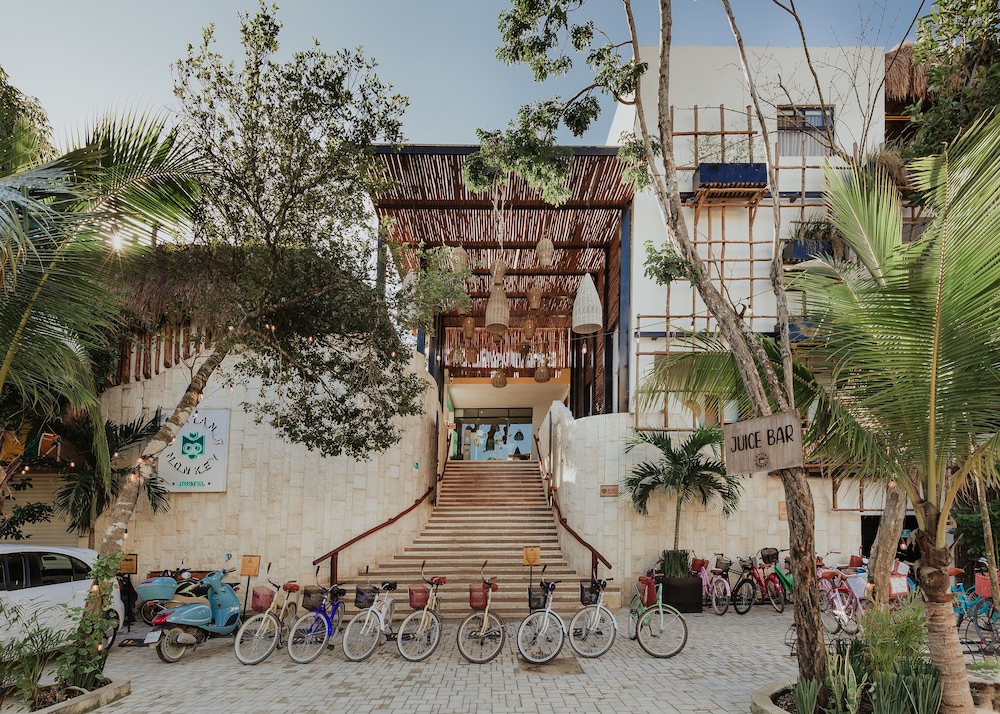 Mayan Monkey Tulum 32/44