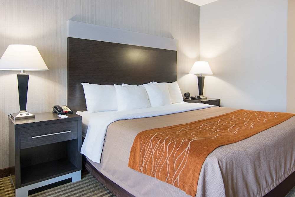 Comfort Inn Camden 12/44