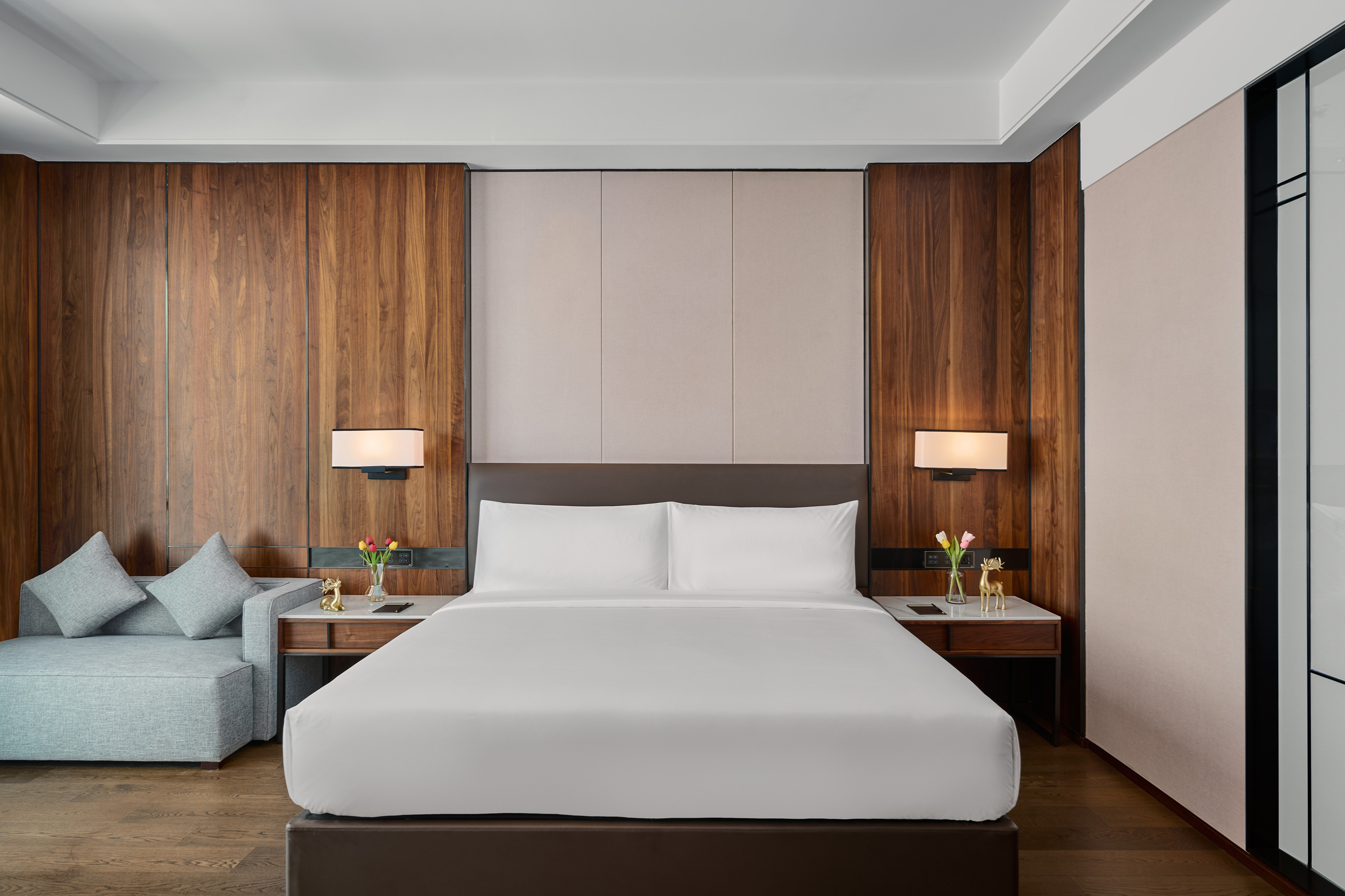 VM Hotel 15/50