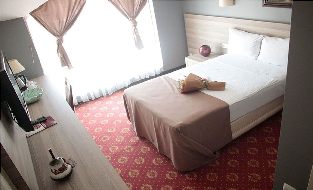 Hizel Otel Duezce 13/45