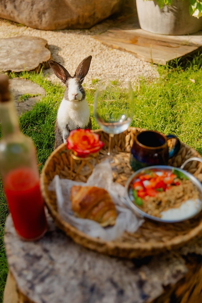 Green Land Bubble Glamping 28/60