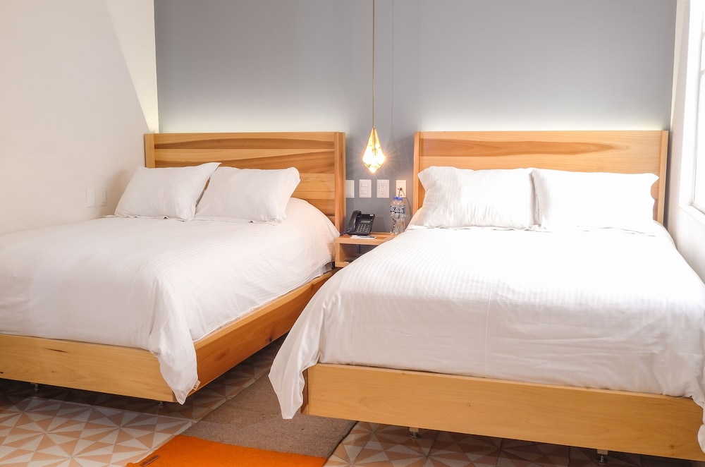Hotel Nuevo Leon 19/65