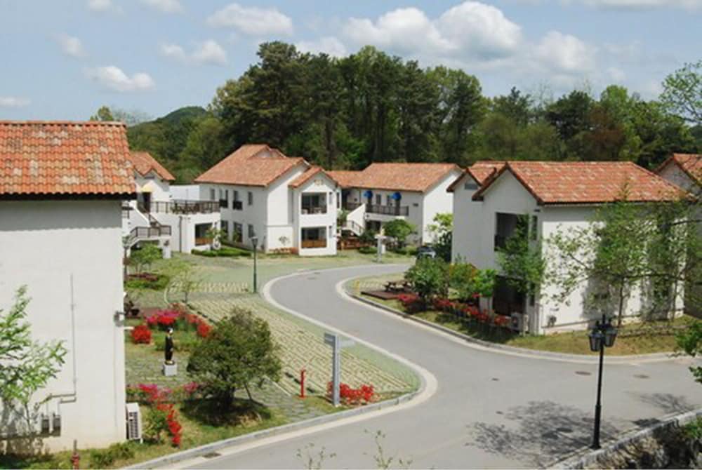 Damyang Meta Pension 29/35