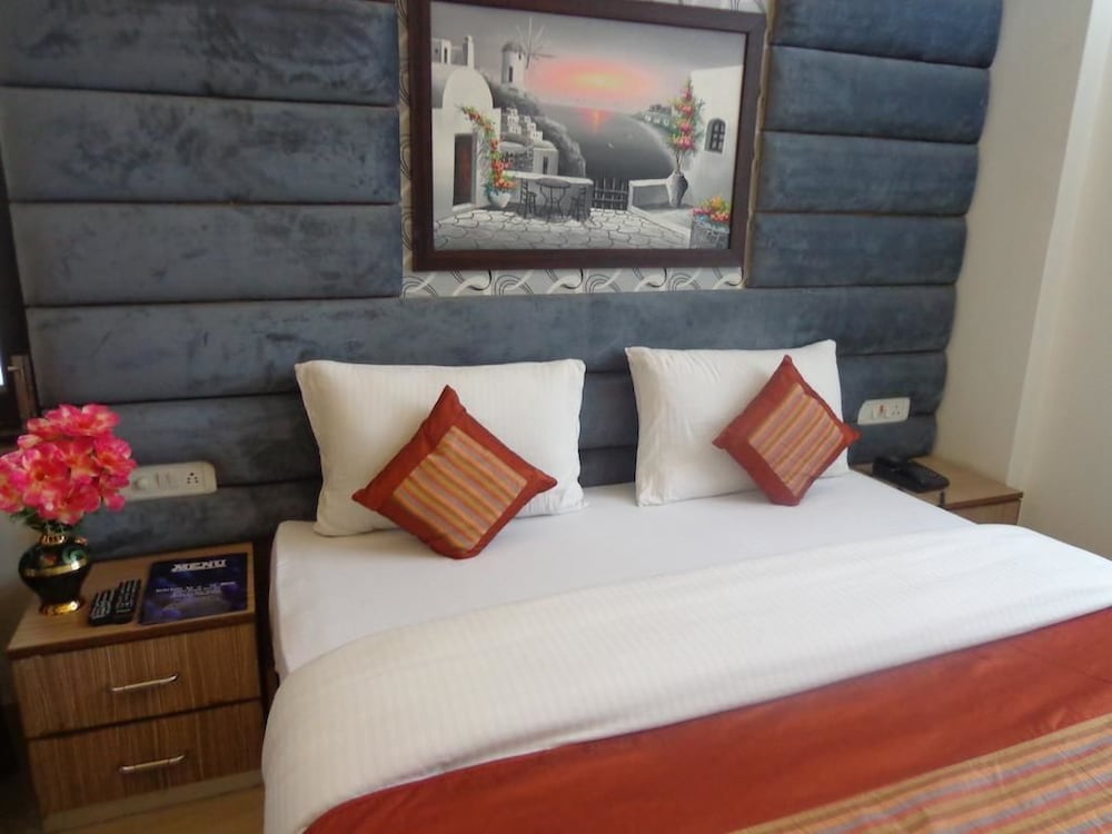 Hotel Blue Pearl Paharganj 15/50