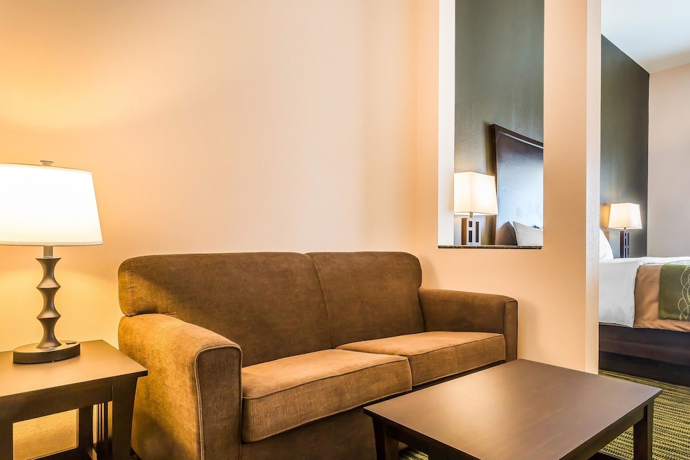 Comfort Inn & Suites Moore - Oklahoma City 35/48