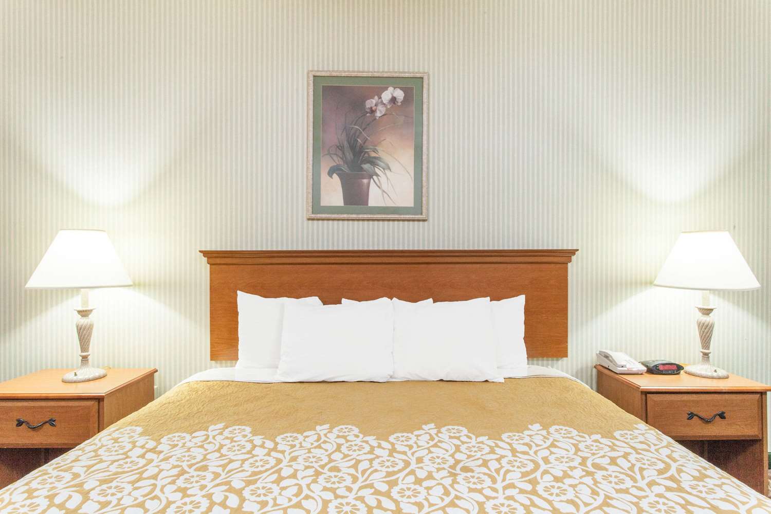Days Inn & Suites by Wyndham Seaford 17/26