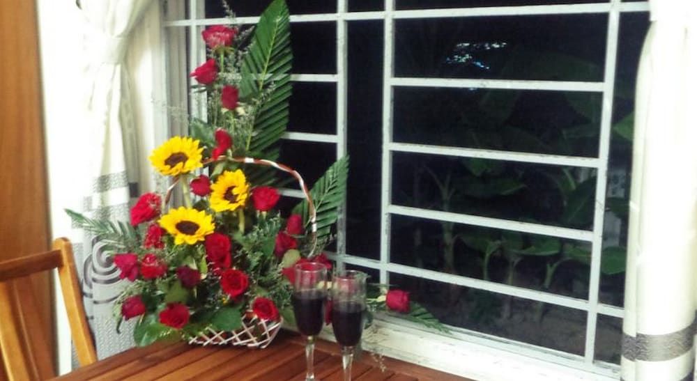 Gingergrass Homestay酒店(Gingergrass Homestay) 图片1