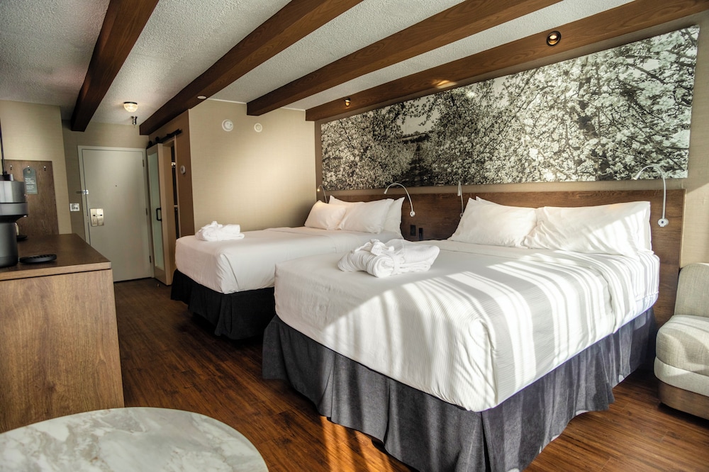 Old Orchard Inn & Spa 10/50