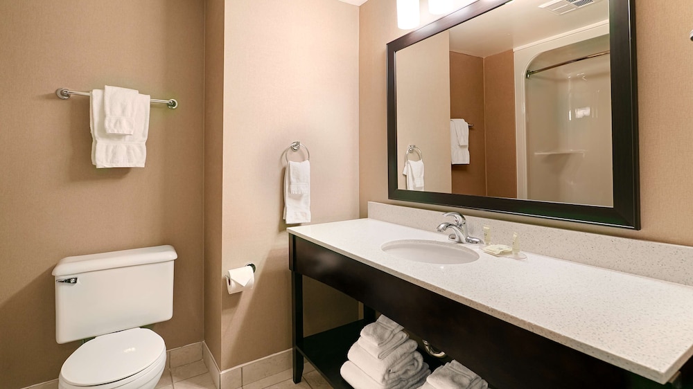 Best Western Swan Castle Inn 5/41