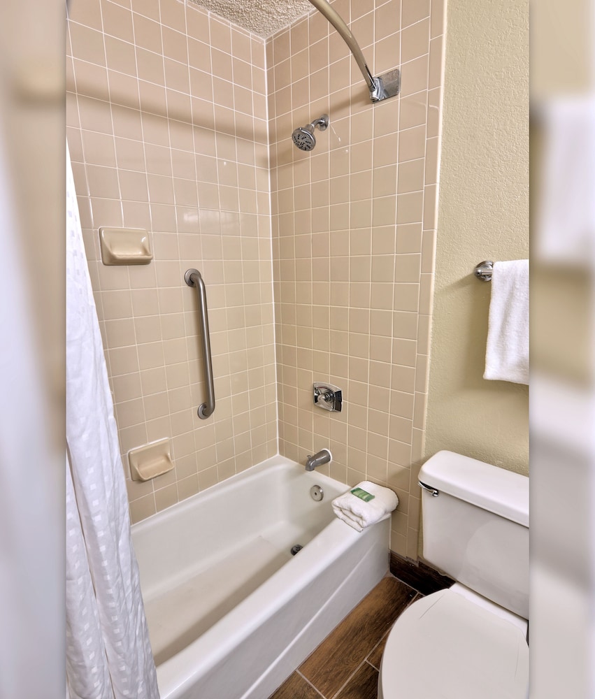 Holiday Inn St Petersburg N Clearwater 28/68
