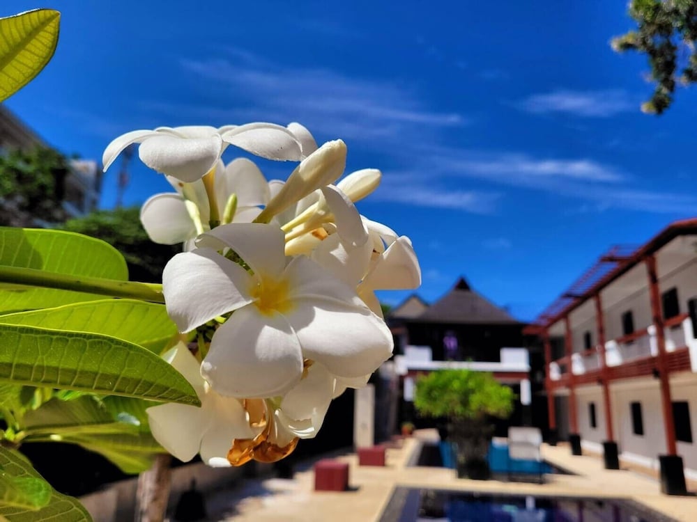 SURINTRA BOUTIQUE RESORT 22/25