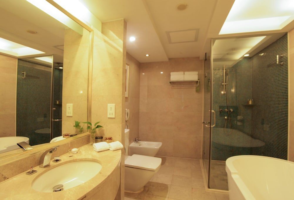 Poly Hotel Wuhan(Formely Poly White Rose Hotel) 21/31