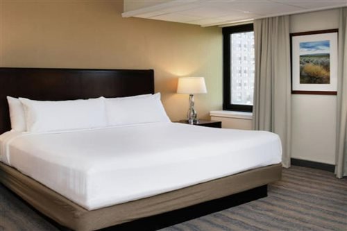 Executive, Suite