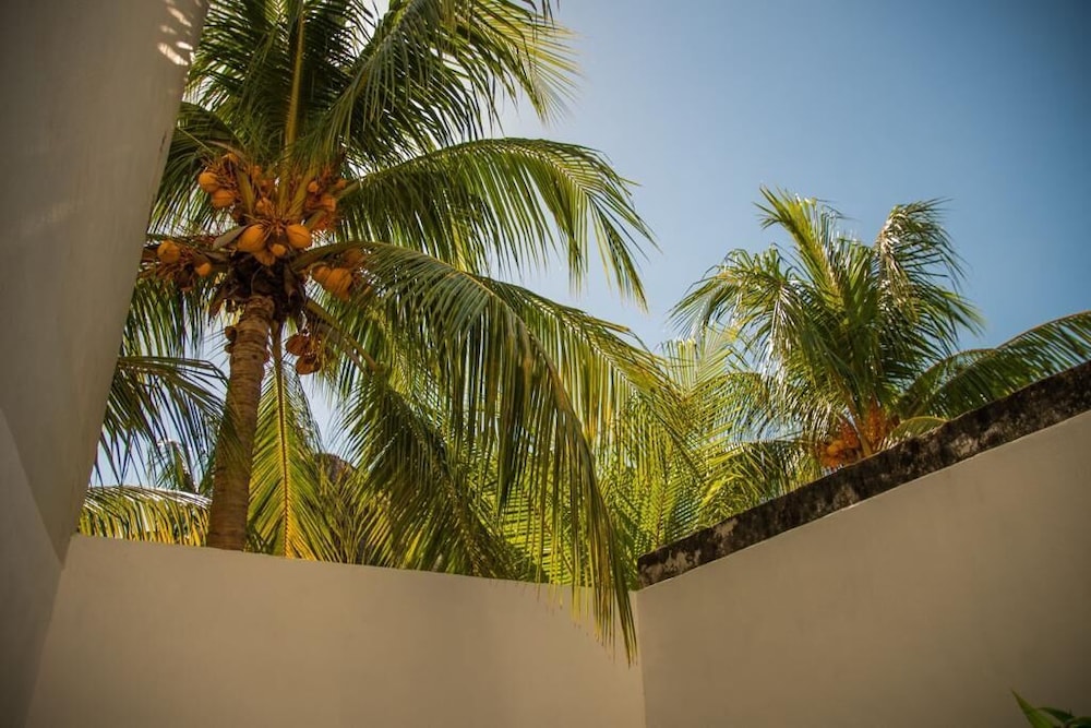 Hotel Mayari Holbox 45/50