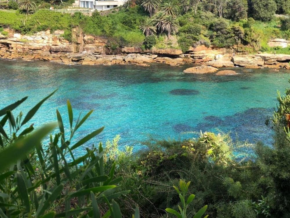 Little Coogee Hotel 59/65