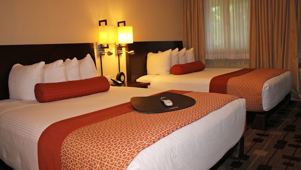 The Zen Hotel 24/58