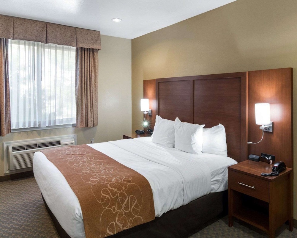 SUITE, KING BED, ACCESSIBLE