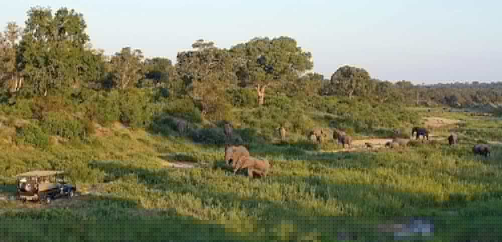 Jock Safari Lodge 48/56