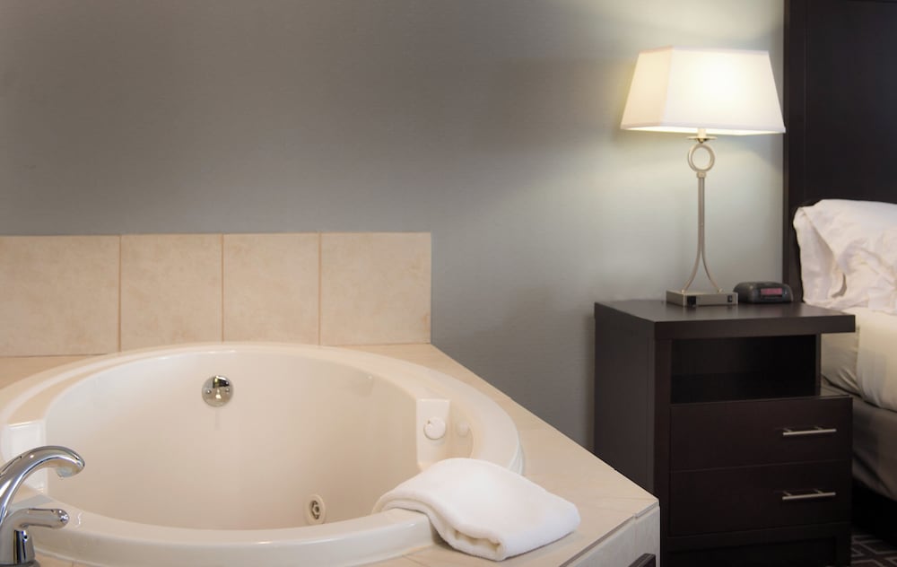 Holiday Inn Express Le Claire Riverfront-Davenport 22/66