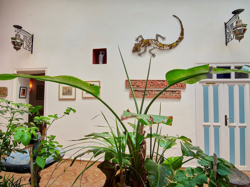 Riad Watier 41/72