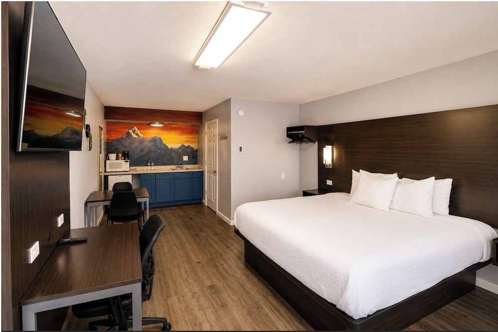 Delight, Economy, King Bed, Pet Friendly, Smoking