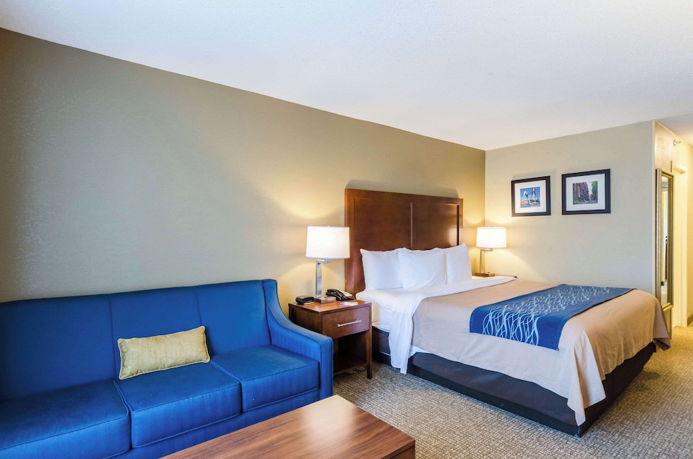 BUSINESS, KING BED