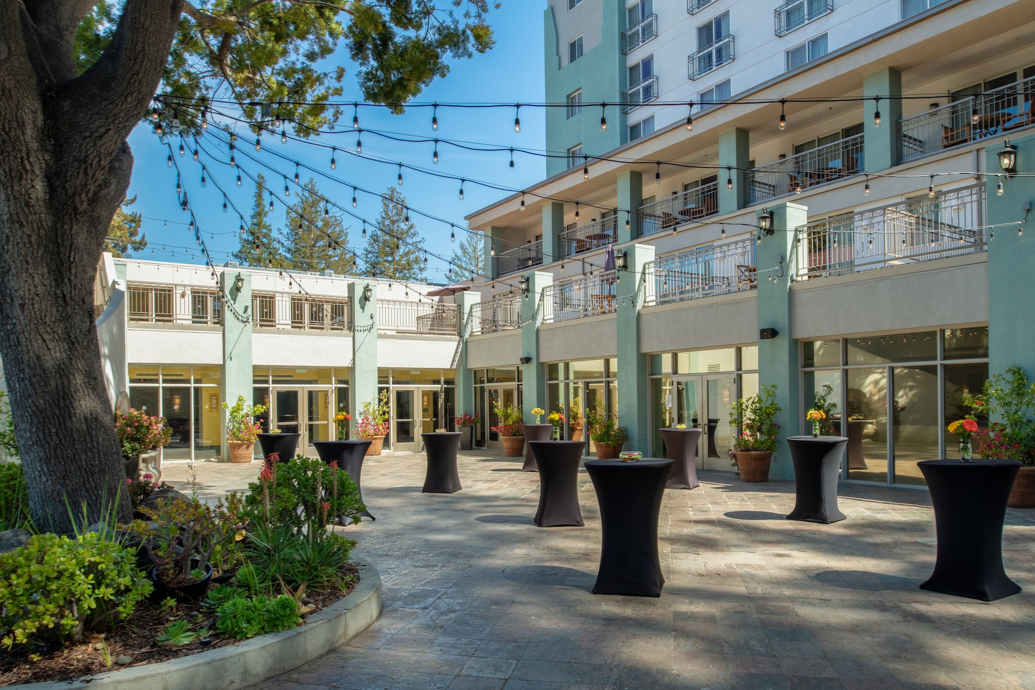 Crowne Plaza Cabana, Palo Alto 10/80