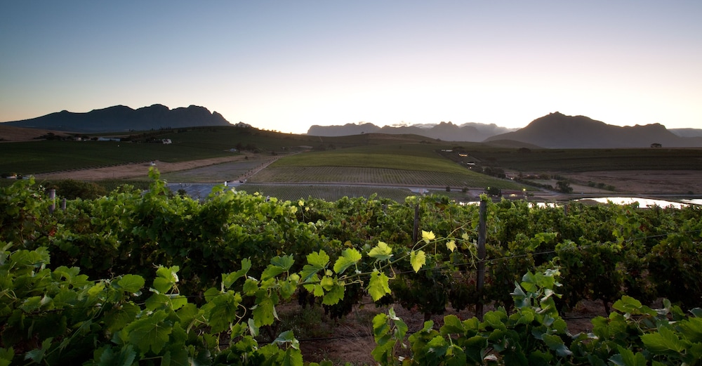 Brenaissance Wine & Stud Estate 28/36