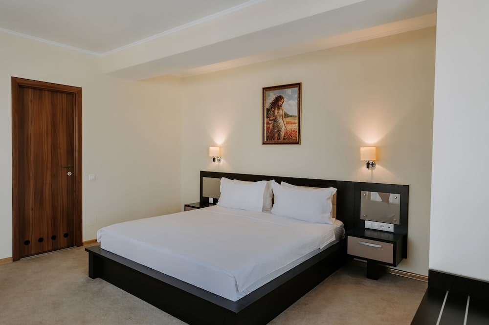Mercure Chisinau Center Jazz Hotel 14/58