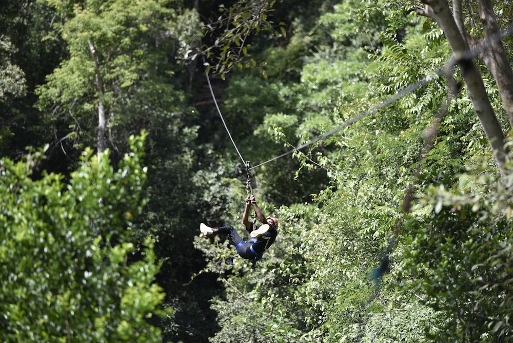 Ella Jungle Resort 30/37