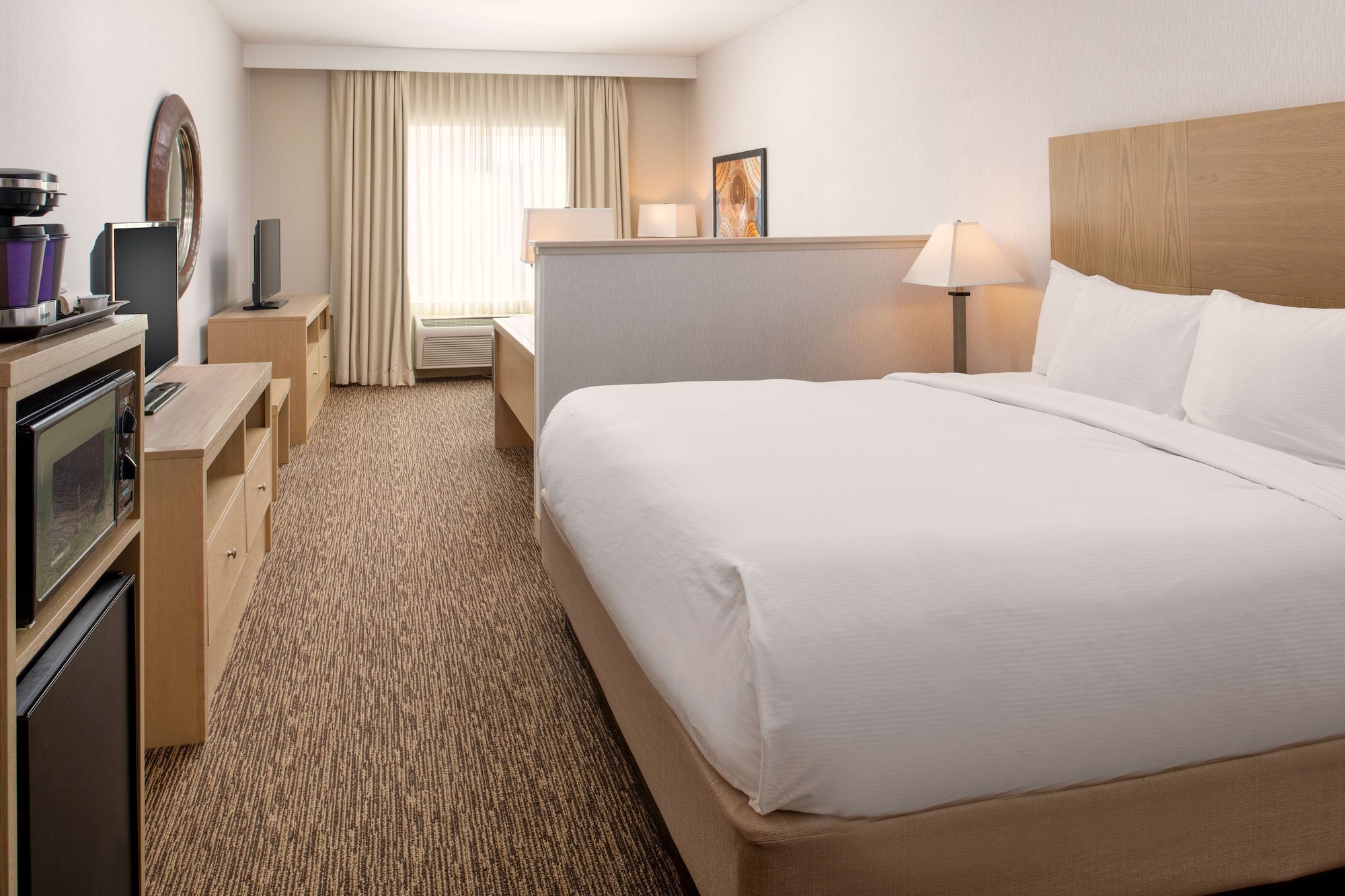 Junior Suite, Studio, King Bed, Sofa