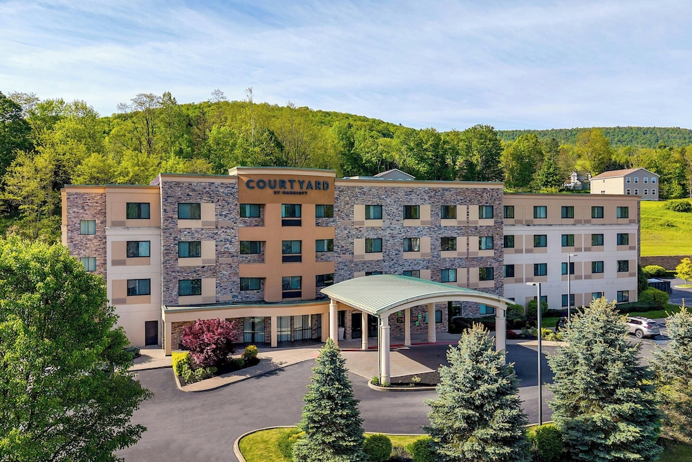 Courtyard By Marriott Oneonta Cooperstown Area 3/55