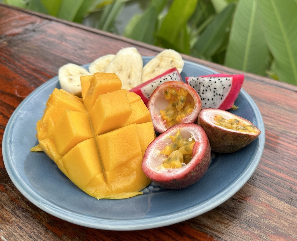 PURA VIDA PAI RESORT 47/65