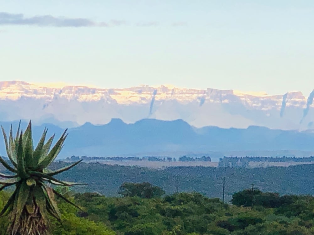 Spionkop Lodge 38/50