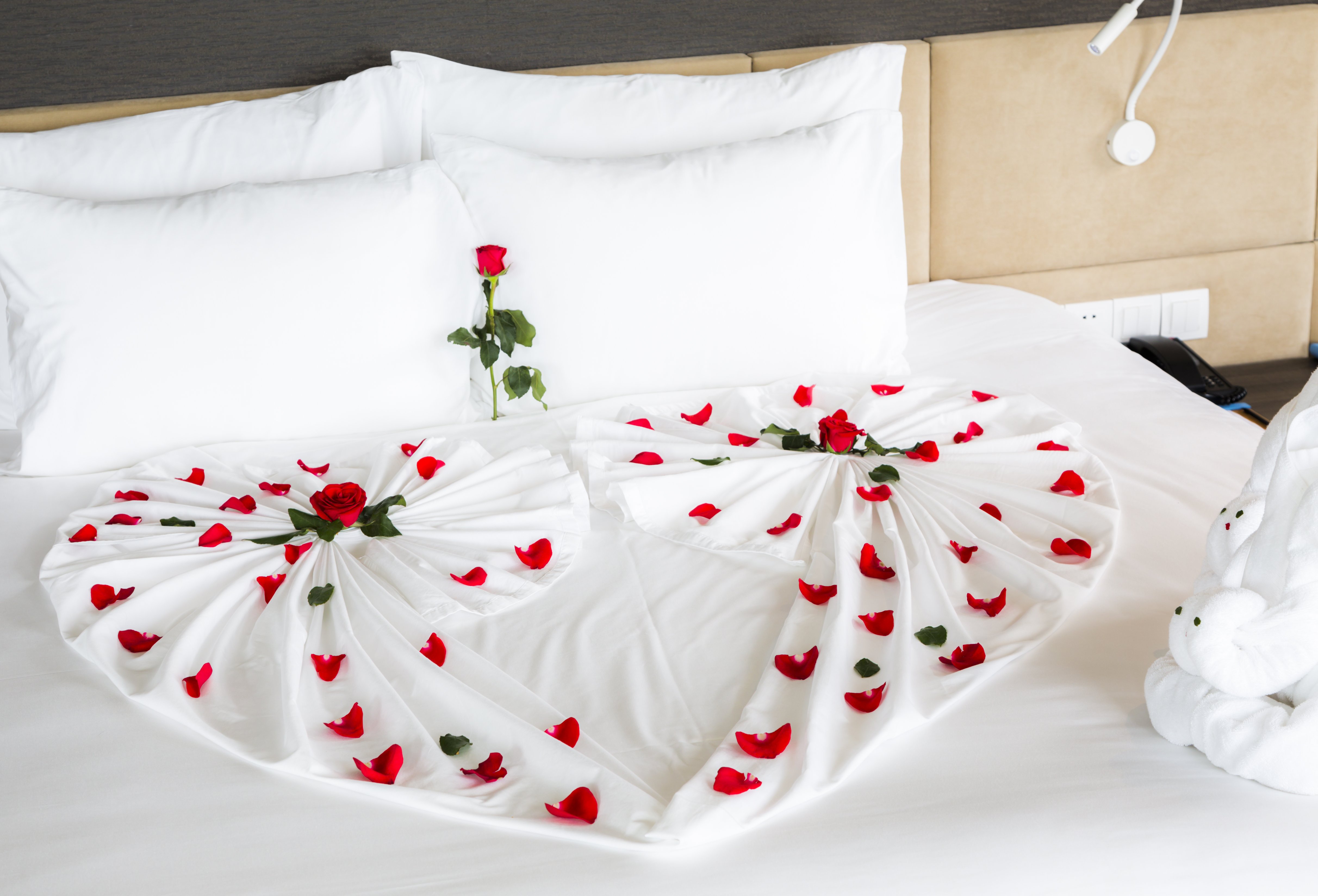 Alana Nha Trang Beach Hotel 49/83