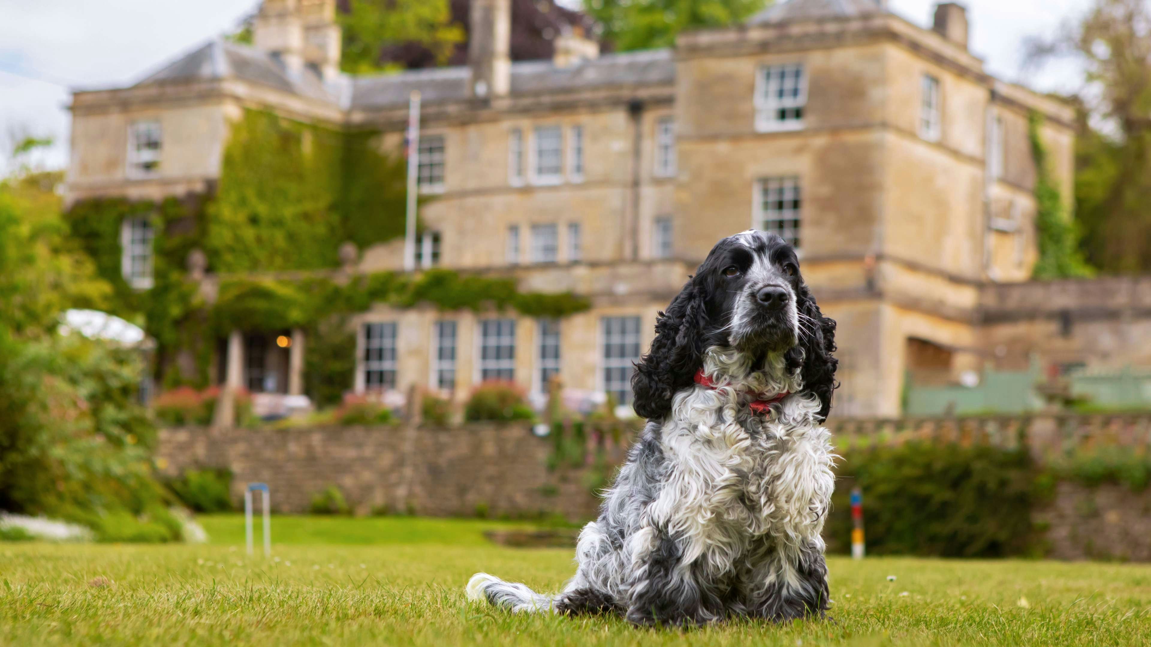 Burleigh Court Cotswolds 55/61