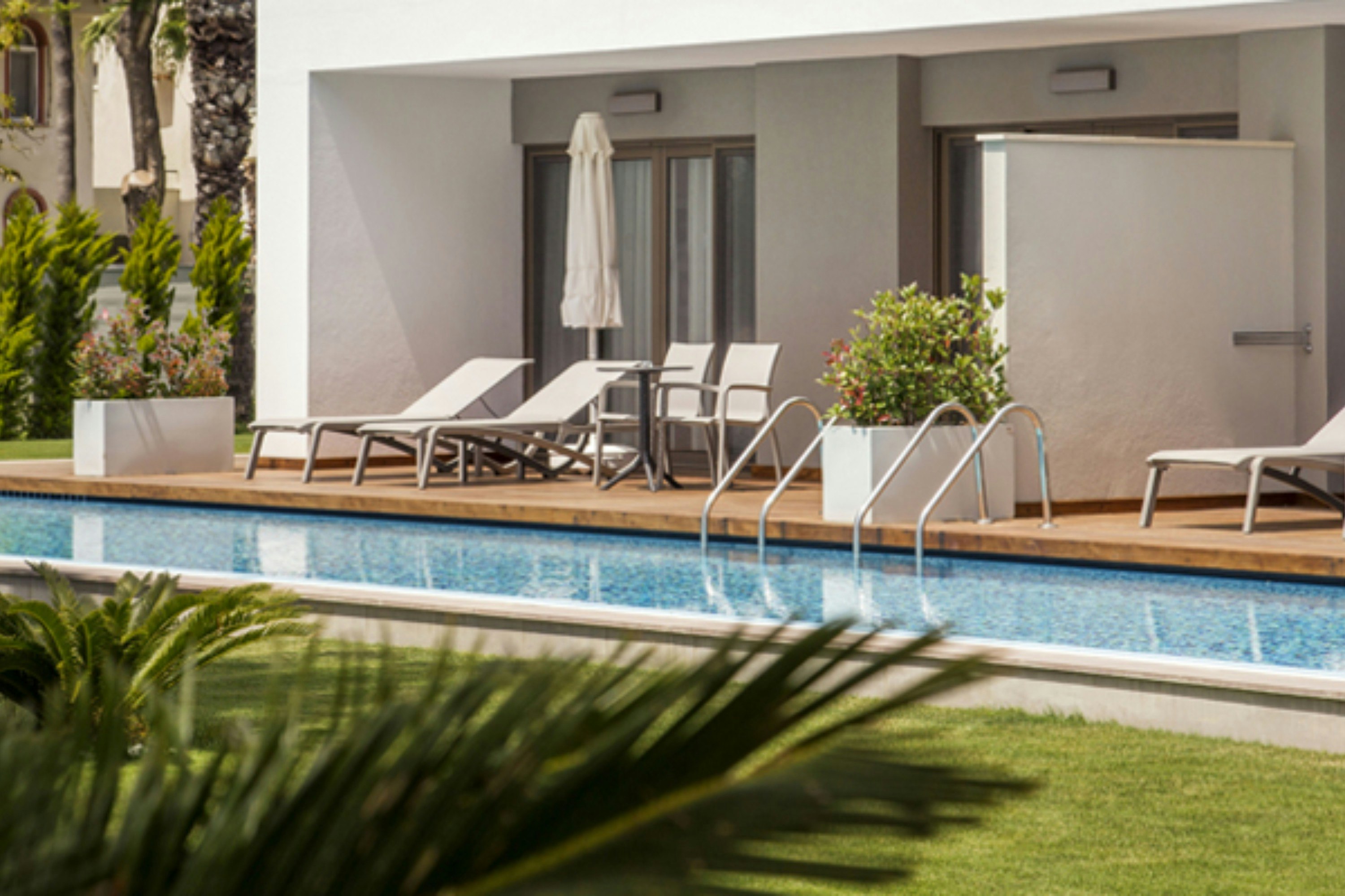 Acanthus and Cennet Barut Collection 8/20
