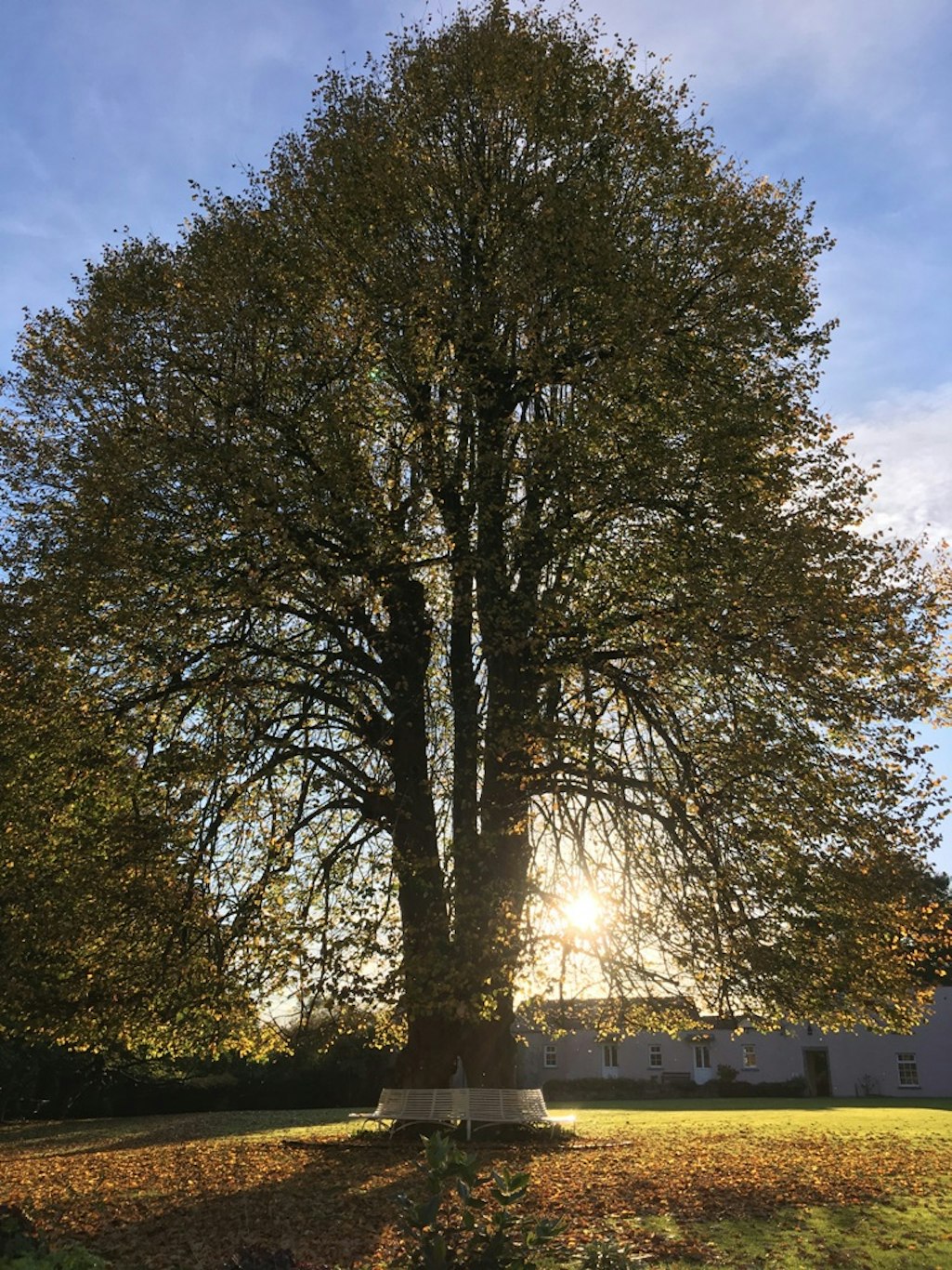 Dunadry Hotel Country Club 20/25