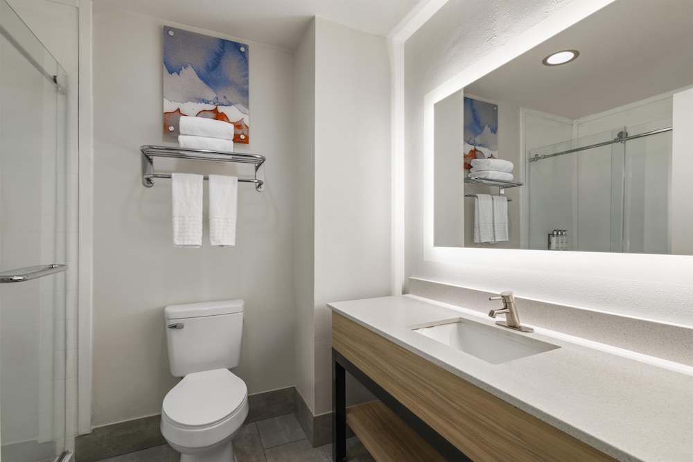 Holiday Inn Express Hotel And Suites Houston Downtown Convention Center 71/72
