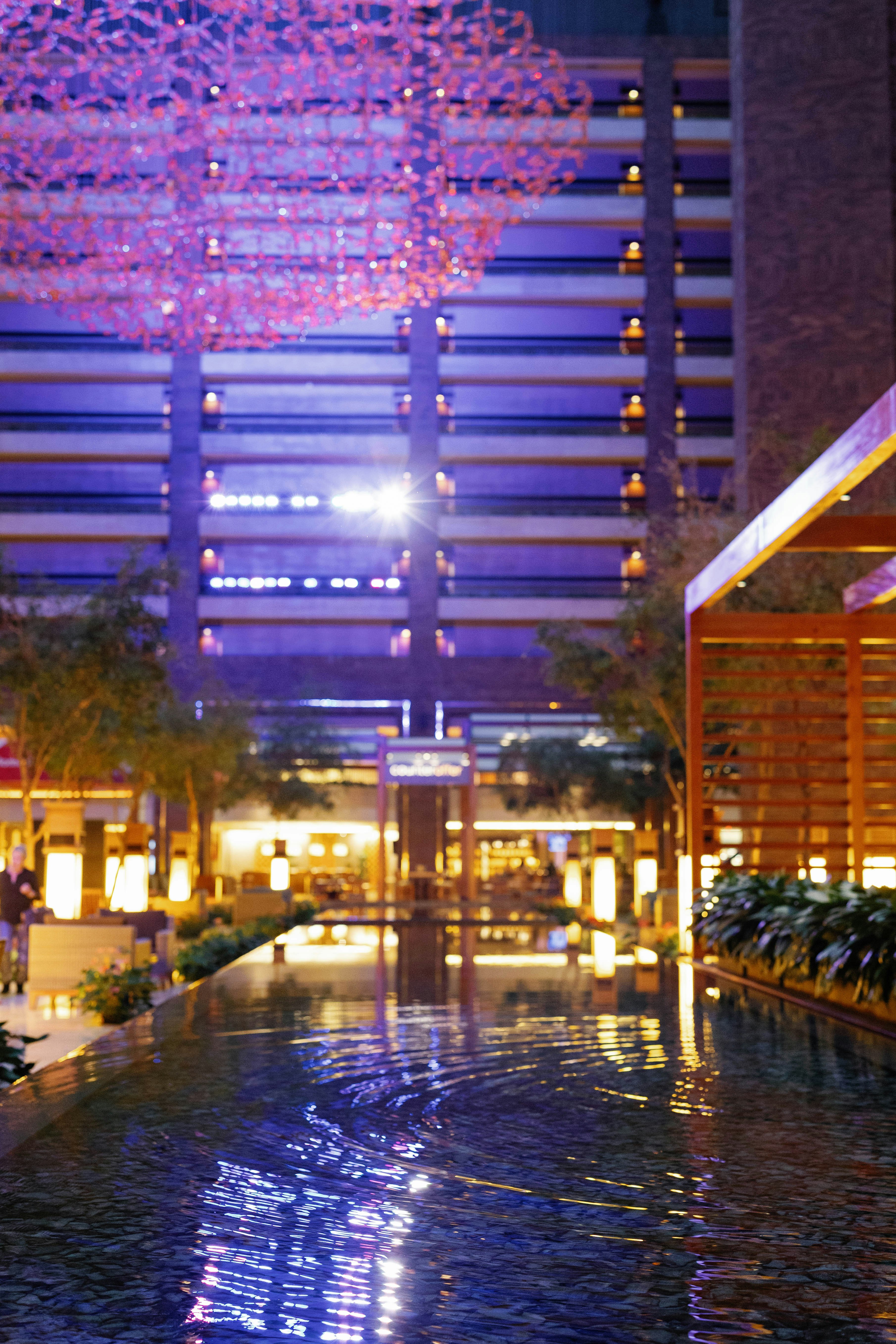 Hilton Anatole 85/90