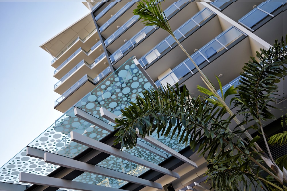 Verve On Cotton Tree 1/50