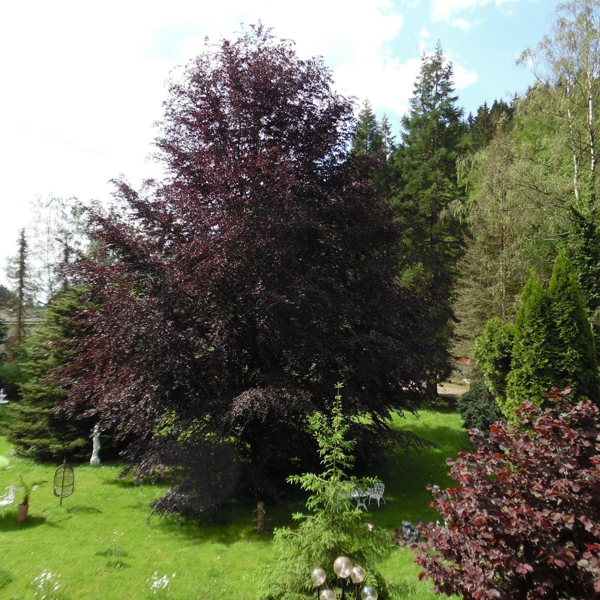 Wellness und Romantik Hotel Helmboldt 54/59