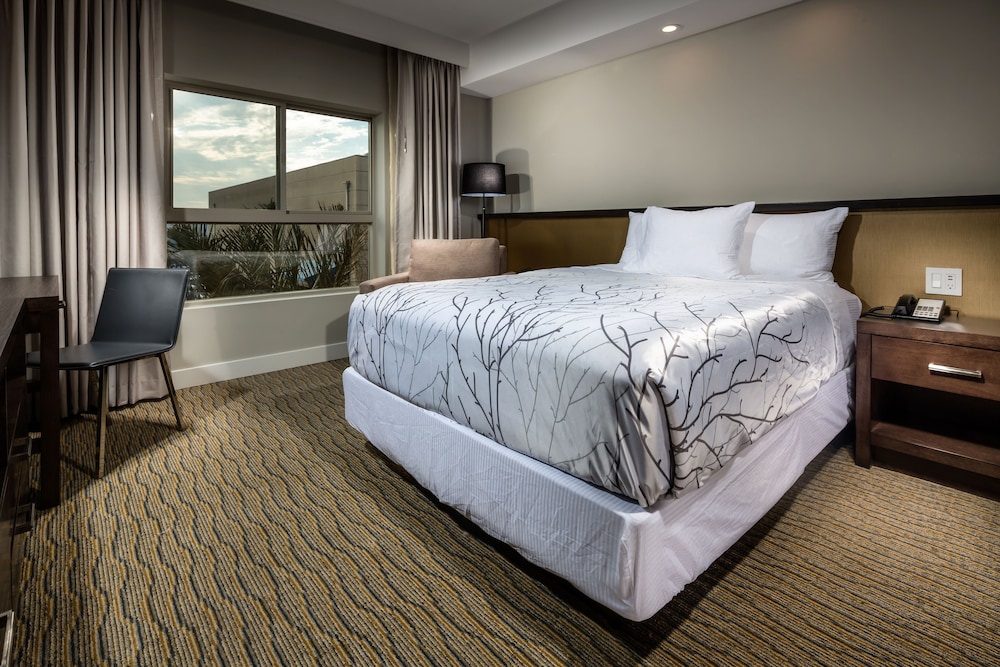 STANDARD, QUEEN BED, ACCESSIBLE