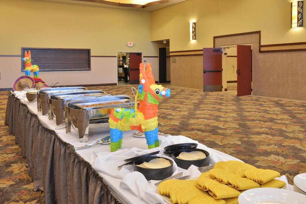 Holiday Inn Stevens Point Convention Ctr 66/72