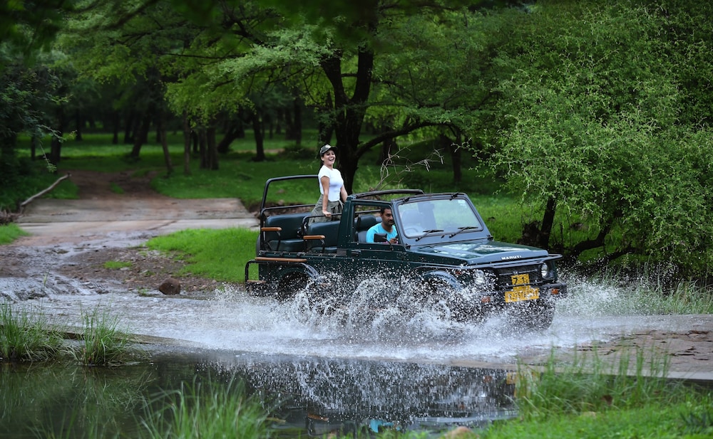 Anuraga Palace Ranthambhore 28/33